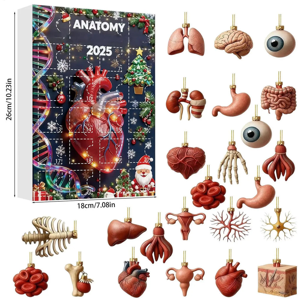 2025 Science Theme Advent Calendar 24 Days Countdown Decorations