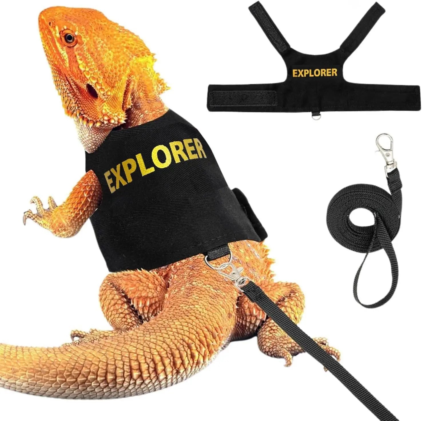 Lizard leash crawling pet outdoor chest harness chameleon squirrel leash clothing small pet supplies Zpaxo