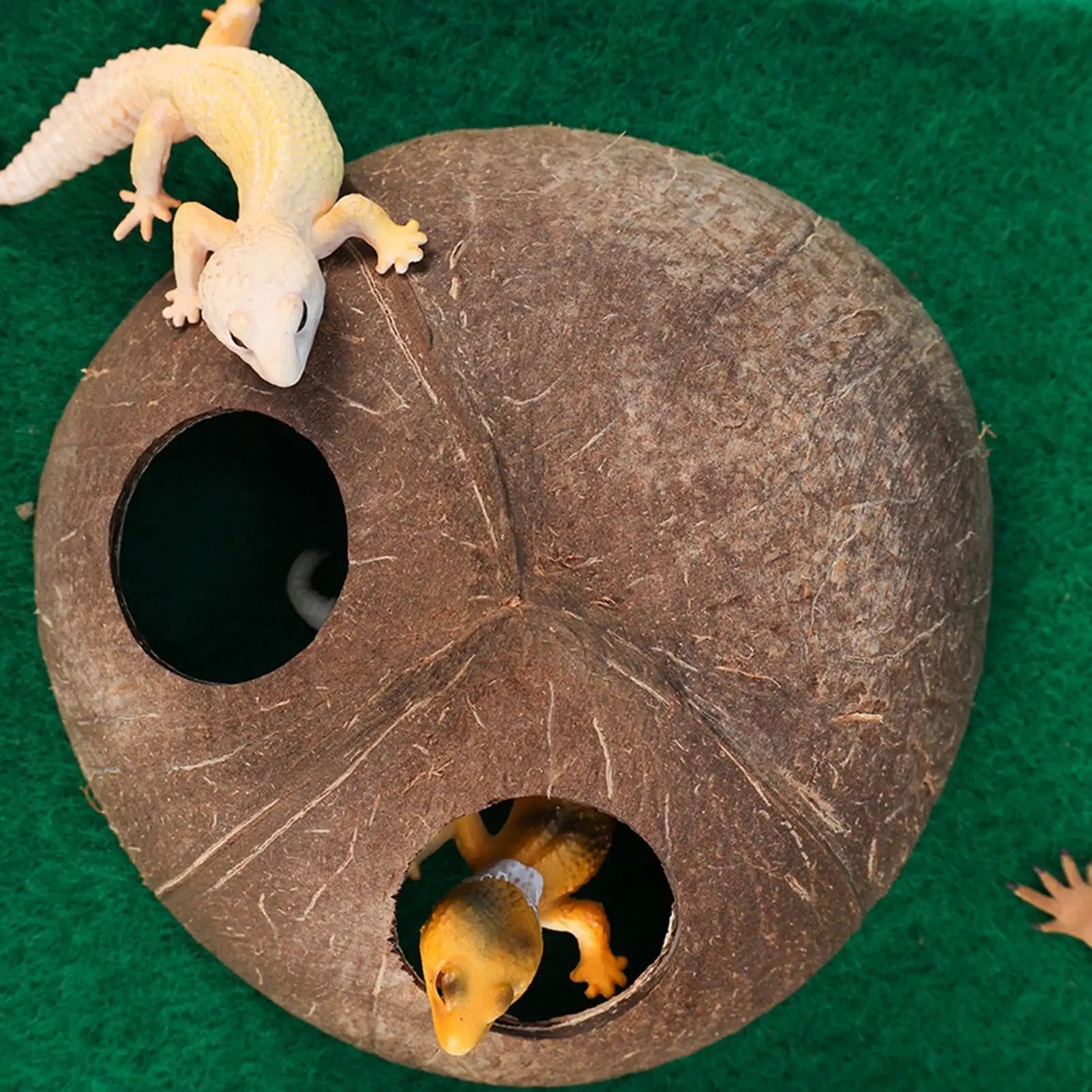 Reptile Shelter Coconut Cave Turtle Coconut Cave Reptile Hiding Cave Natural Coconut Shells Turtle Aquarium Hide House Decor Zpaxo