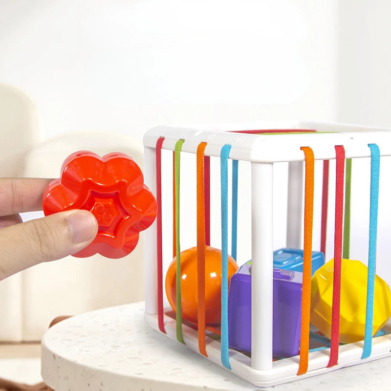 Montessori Toys Children 0-12 Months Early Education Rainbow Cesare