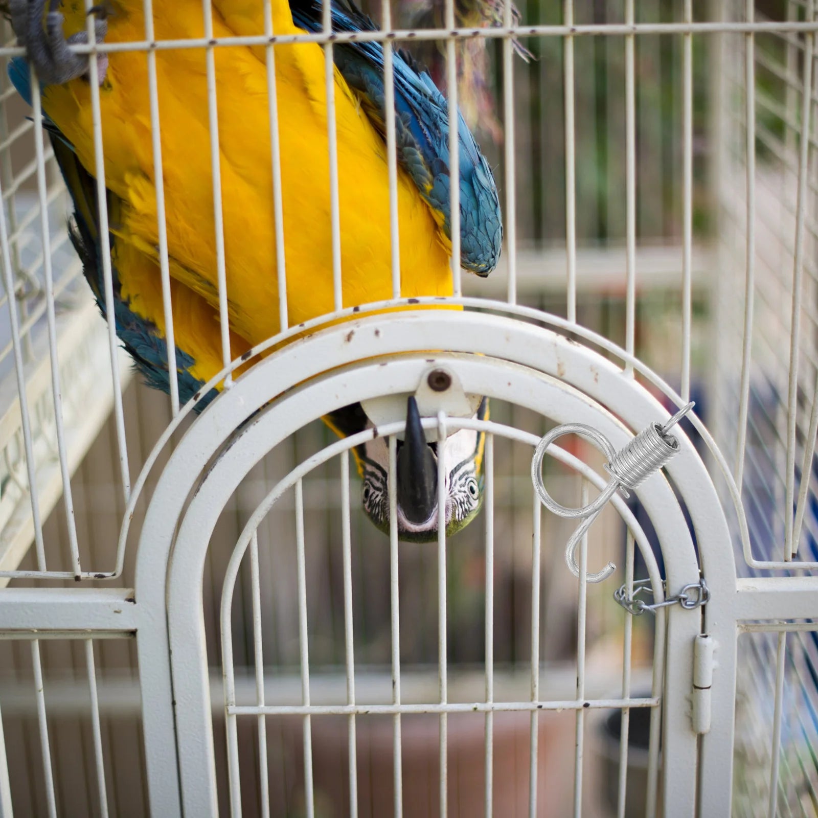 Bird Cage Door Spring Hook Rustproof Wire Lock Rabbit Chicken Parrot