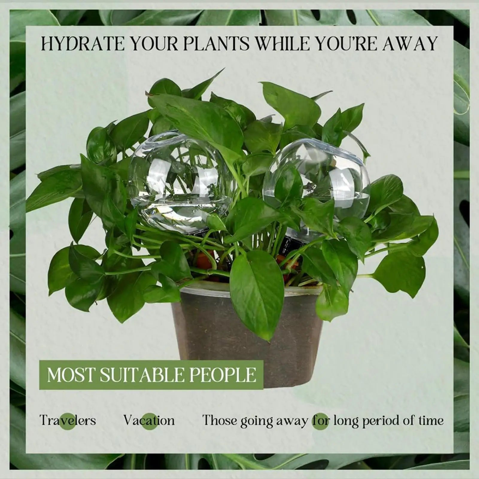 Automatic Watering Globes Indoor Drip Irrigation Device Self Planter