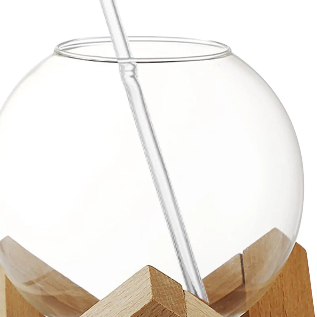 Cocktail Glass Cup Drinks Cup Transparent Barware Gift Spherical Crystal Ball Zpaxo
