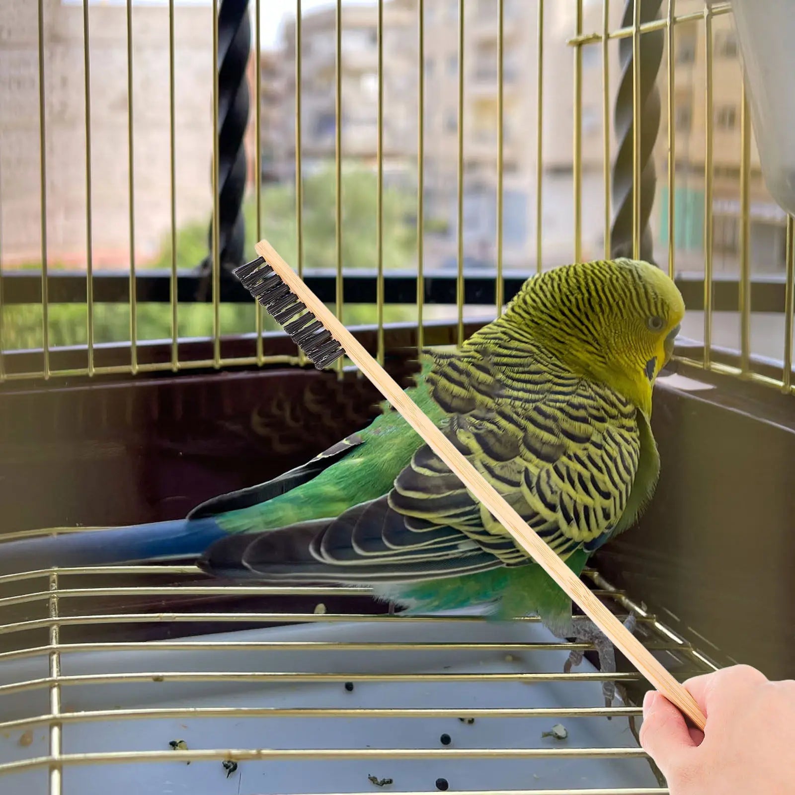 Bird Cage Cleaning Brush Wood Stainless Steel Droppings Shovel