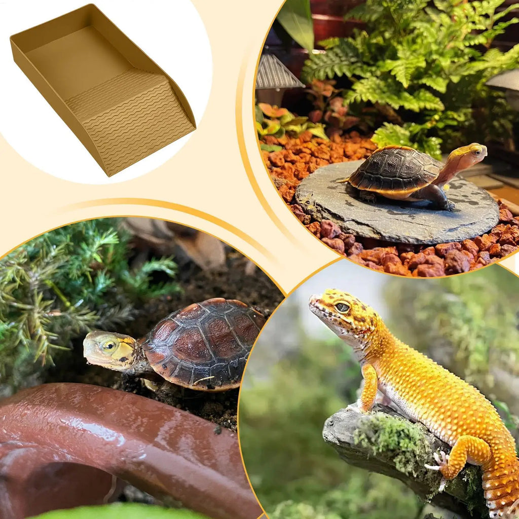 Turtle Water Bowl Reptile Bathing Dish Ramp Aquarium Ornament Bearded