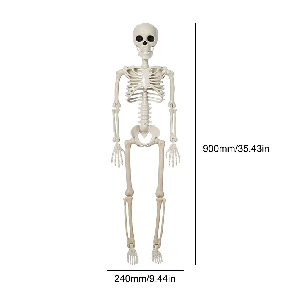 Halloween Skeleton Decoration Full Body Movable Joints Hanging Decor