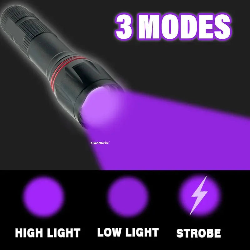 395nm UV LED Flashlight – Rechargeable Zoomable UV Torch