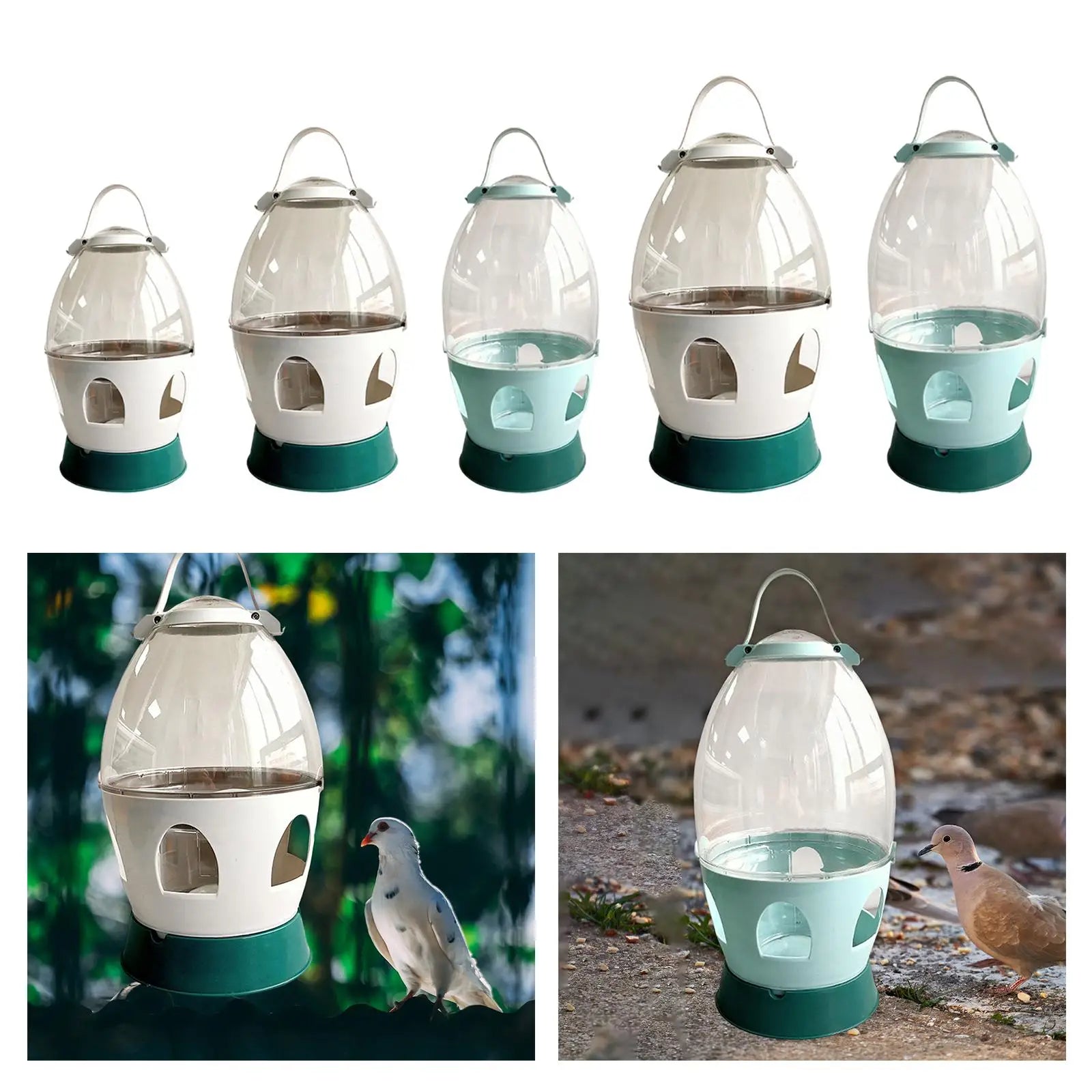 Pigeon Water Dispenser Automatic Feeder Water Container with Handle Bird Feeding Drinker for Dove Duck Bird Cage Accessories Zpaxo