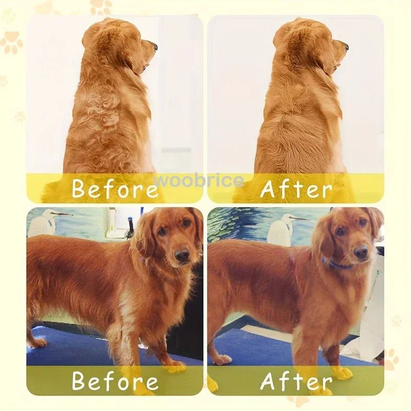 3-in-1 Dog Hair Cat Hair Brush Electric Pet Cleaning Brush Steam Spray Brush Massage Hair Removal Comb Anti Flying Brushes Zpaxo