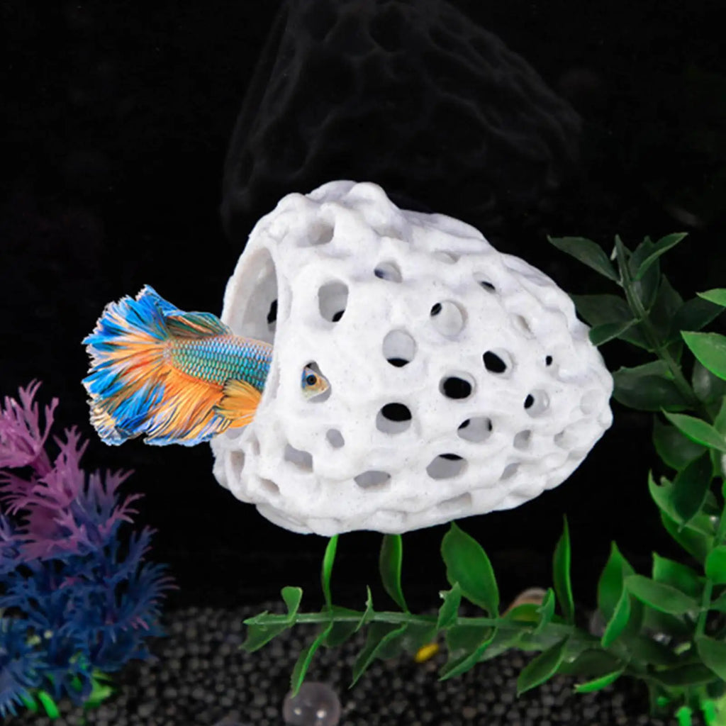Shrimp Hides Aquarium Porous Hideouts Fish Tank Ornaments Protector