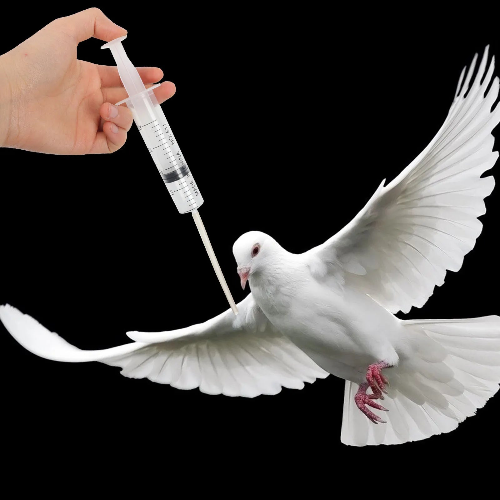 Pigeon Dispenser Safe Wear-resistant Plastic Hand Feeding Birds Pets