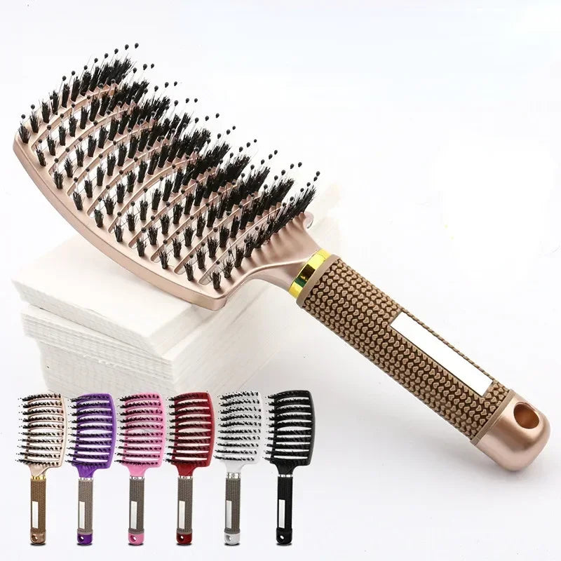 Hairbrush Bristle Nylon Women Wet Curly Detangle Hair Brush Hair Brushes Scalp Massage Comb for Salon Hairdressing Styling Tools Zpaxo