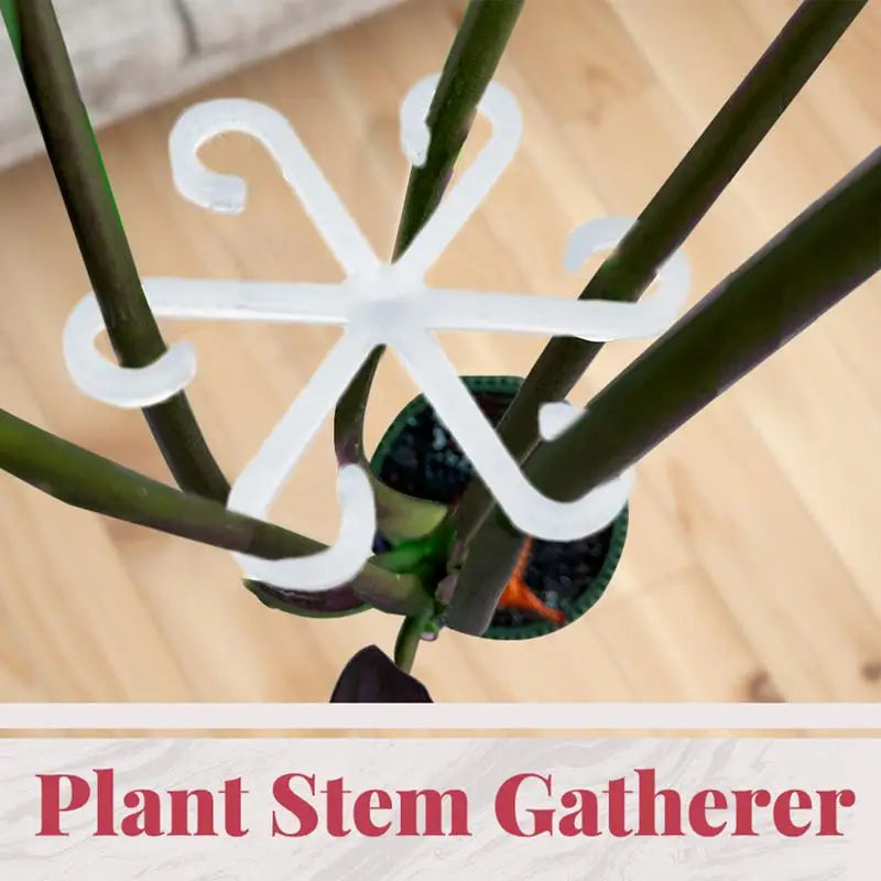 Plant Support Alocasia Monstera Leaf Garden Fixing Clis Vine Stem