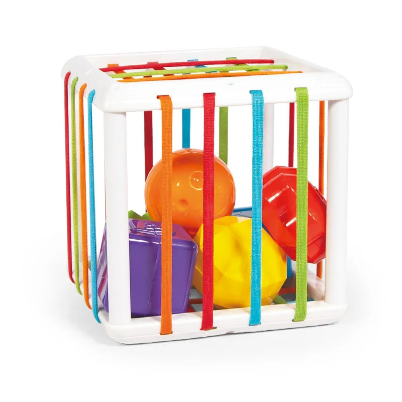 Montessori Toys Children 0-12 Months Early Education Rainbow Cesare