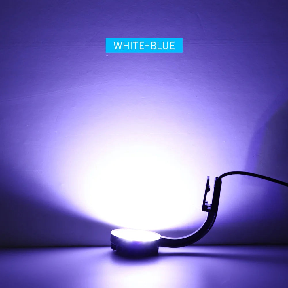 USB Charging Small Fishbowl LED Light Separate Power Switch