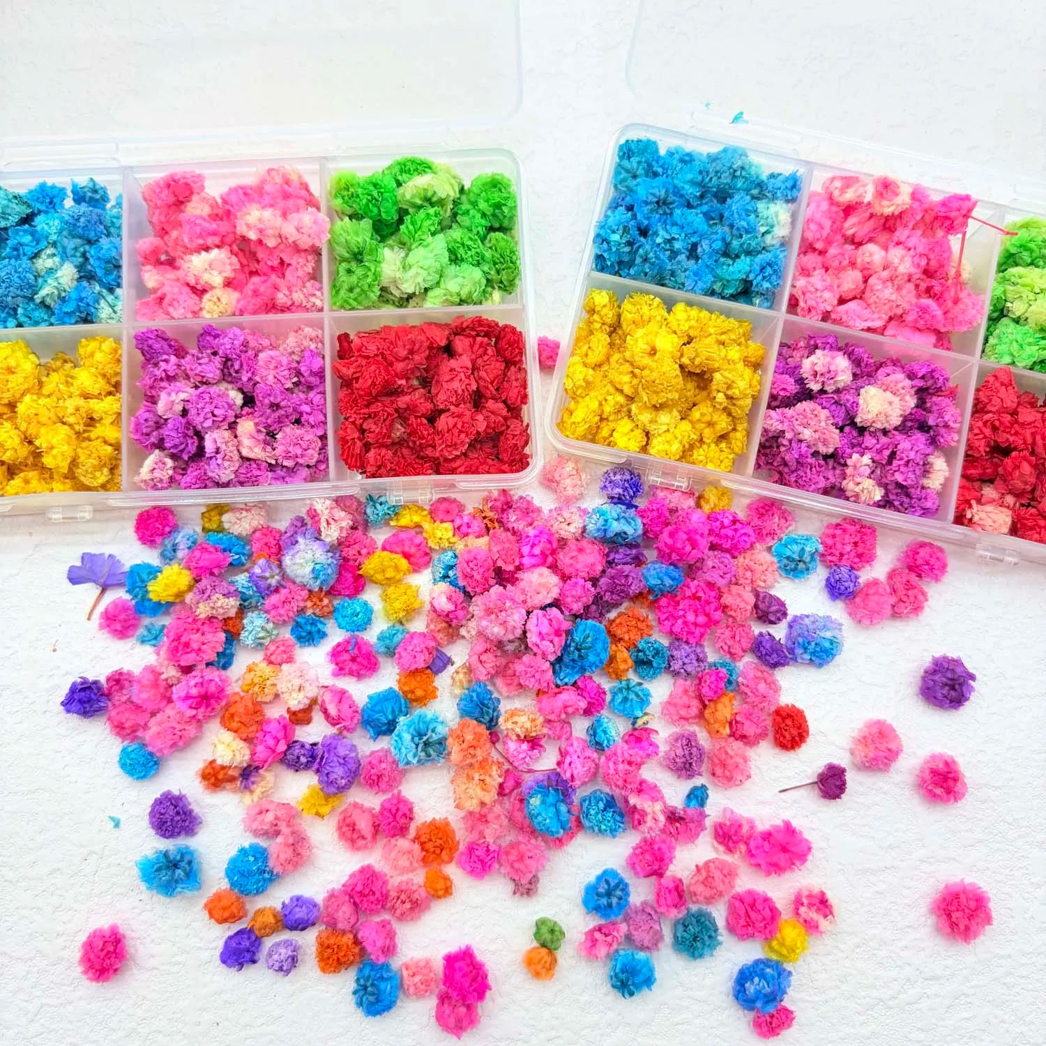 1Bag Flowers for Nail Art Craft Candle Soap Making Wedding Party DIY Epoxy Resin Crafts Home Decoration Mini Pressed Flower Zpaxo