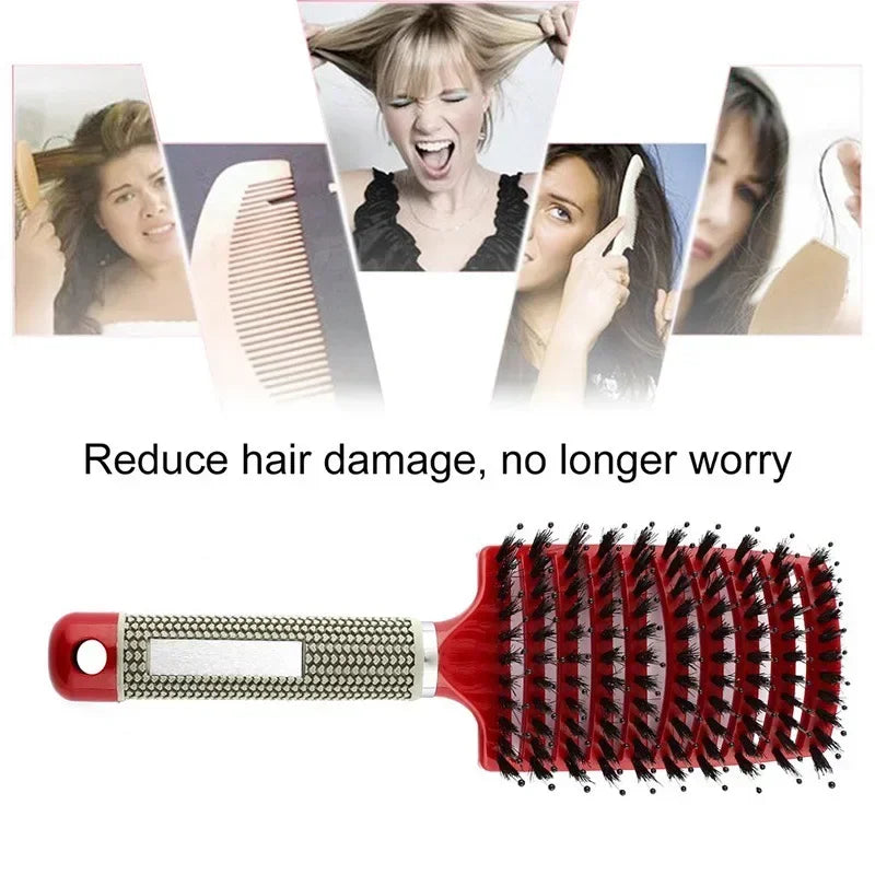 Hair Brush Scalp Massage Comb Hairbrush Boar Bristle Nylon Women Wet Curly Detangle Hair Brush Salon Hairdressing Styling Tool Zpaxo