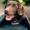 Bone Shape Pet Id Tags Hardened Aluminum Anti-rust Scratch Resistant