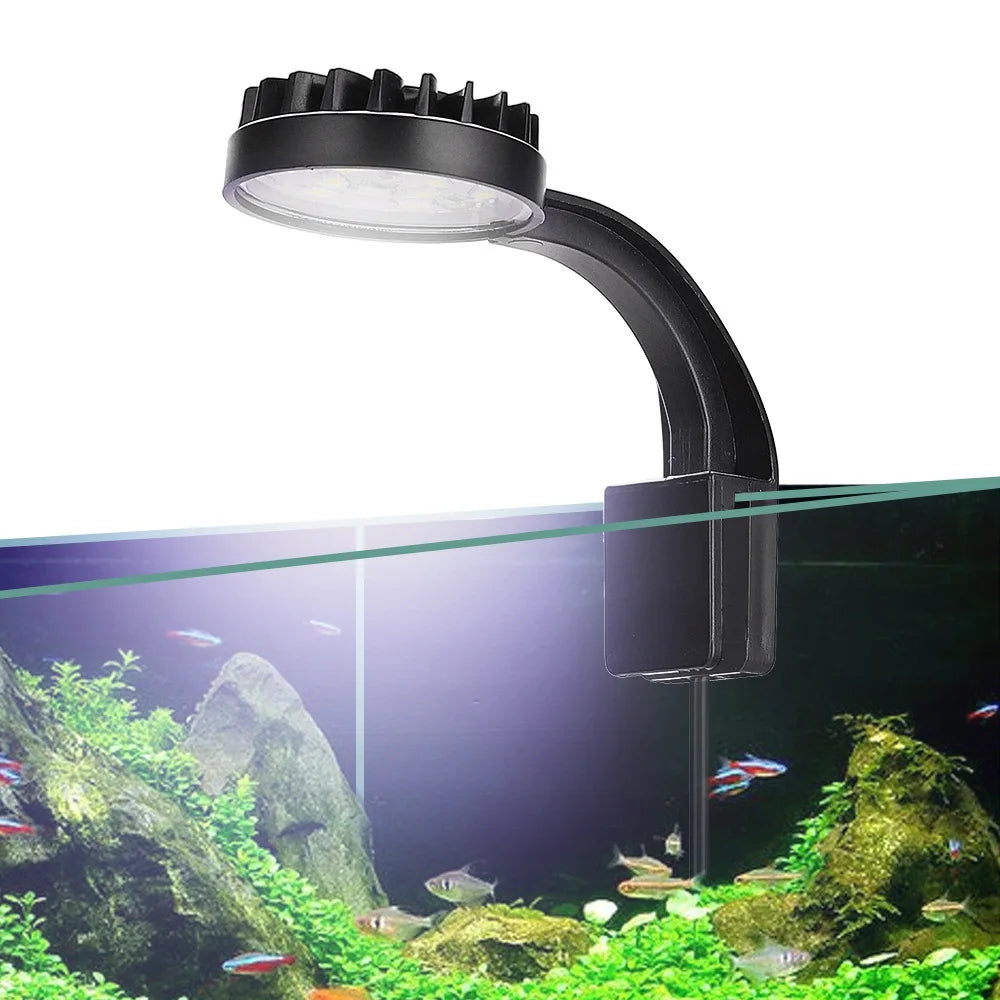 USB Charging Small Fishbowl LED Light Separate Power Switch