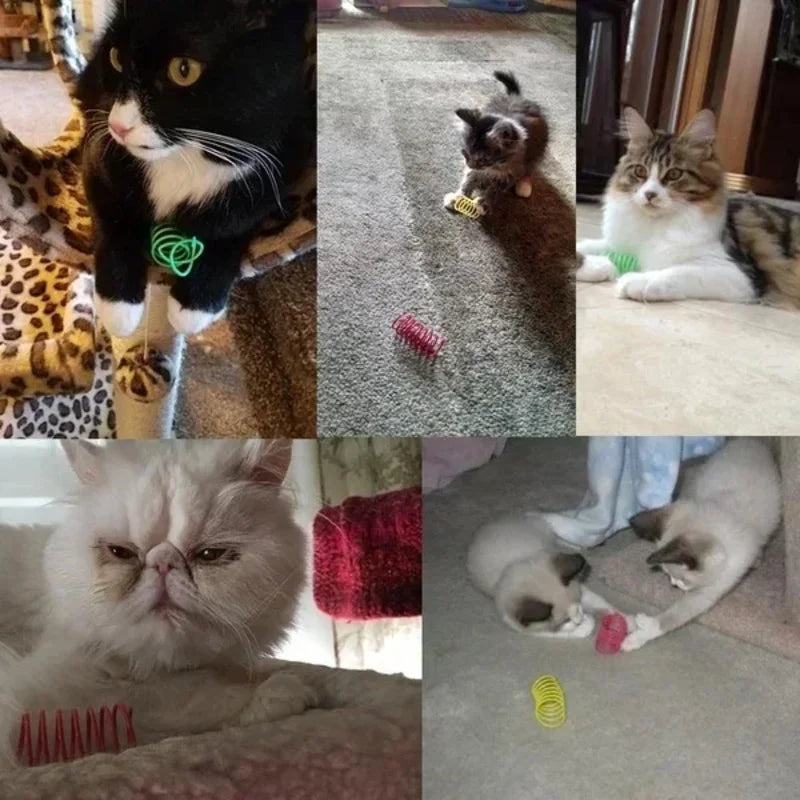 Colorful Coil Spring Cat Toys – Interactive Kitten Set (4–24 Pack)