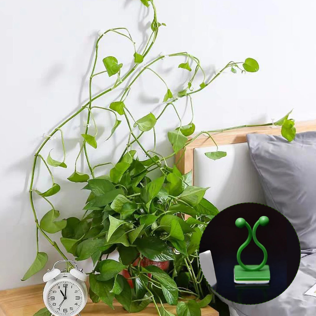 10Pcs Plant Climbing Wall Fixture Clips Plant Vine Traction Invisible Wall Vines Fixing Clips Plant Fixer for Climbing Plants Zpaxo