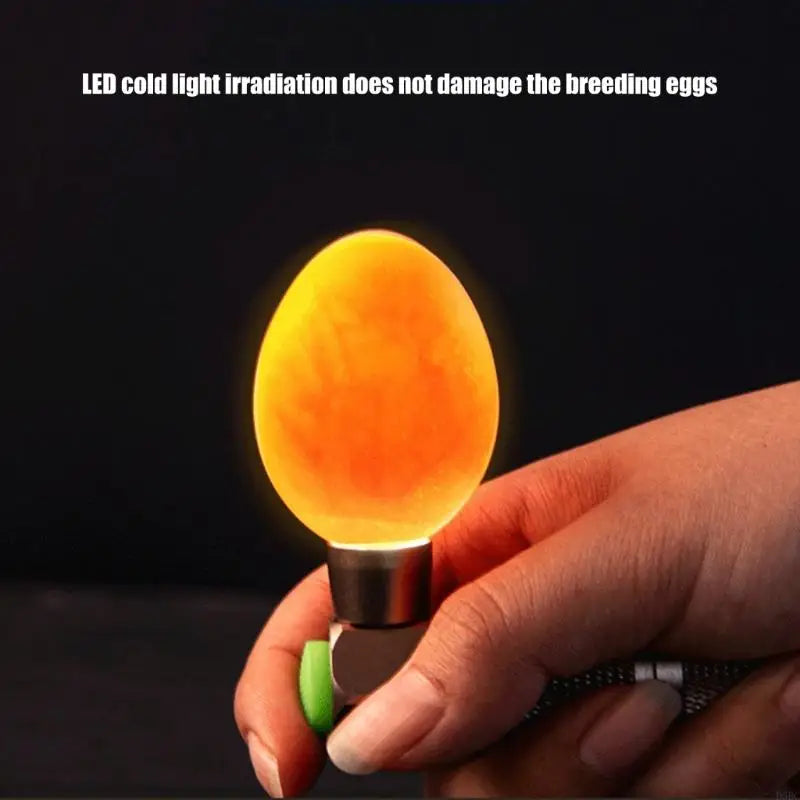 Poultry Farming Light Tester Bright Cool LED Candling Lamp Accurate