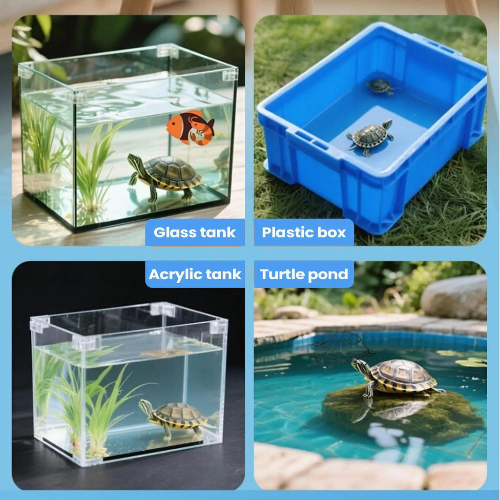 Turtle Accessories Terrarium Waste Collection Gear Aquarium Poop Zpaxo