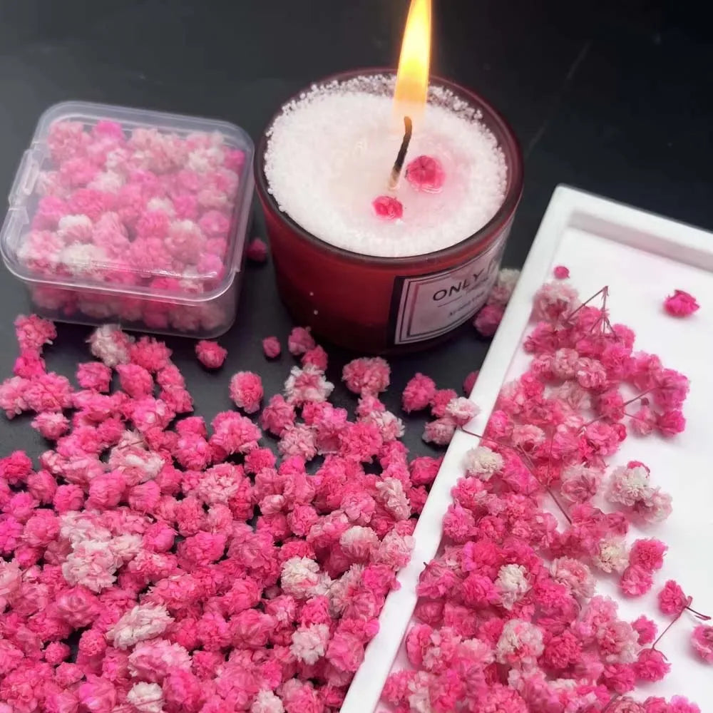 Pink Pressed Flower Mix for Resin, Candles, Nails & Soap Crafts Dried Pressed Flowers Zpaxo