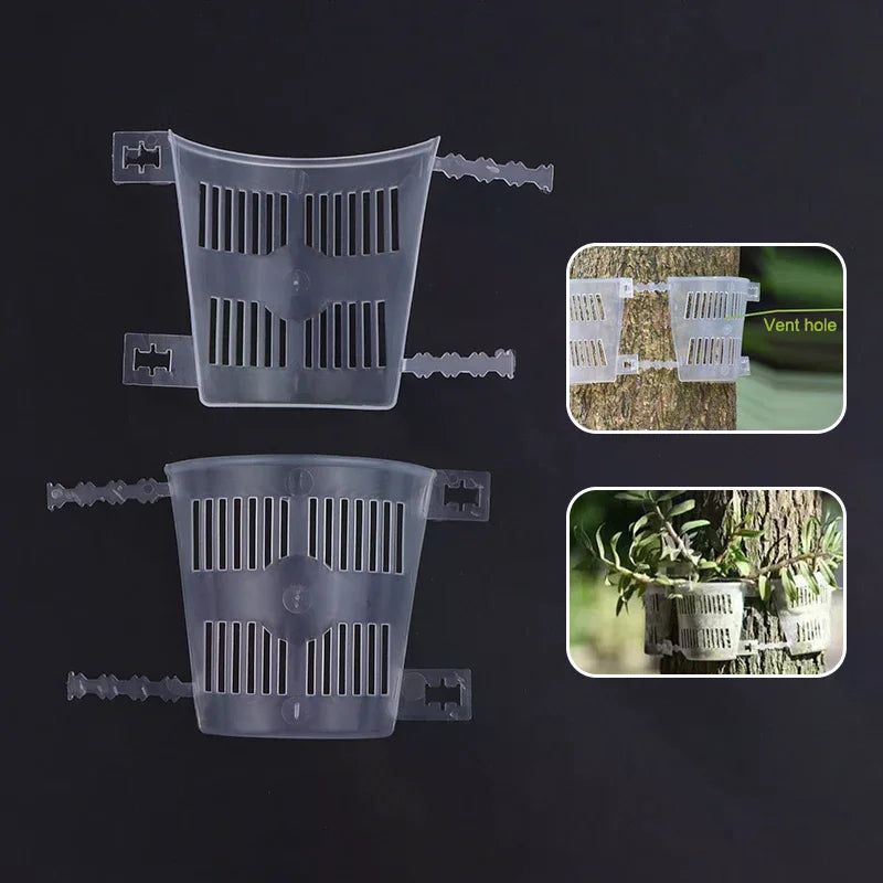 Orchid Planting Boards Root-control Aeration Dendrobium Mounting Zpaxo Default Title