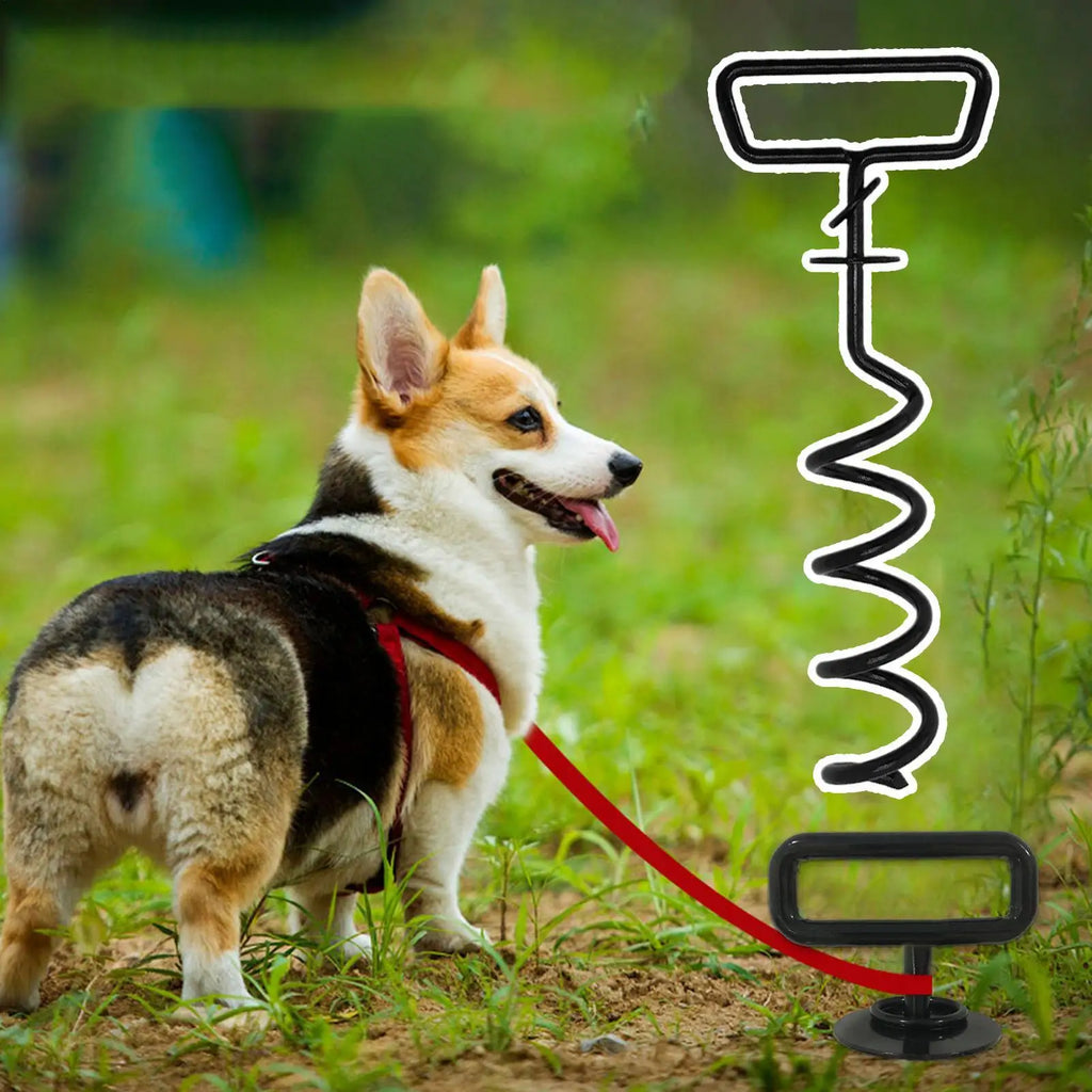 Dog Stake Heavy Duty Strong Grip Iron Strap Ground Garden Beach