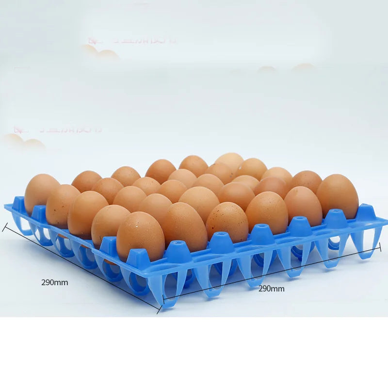 30Grids Plastic Egg Holders Long-distance Transport Transfer Pallets