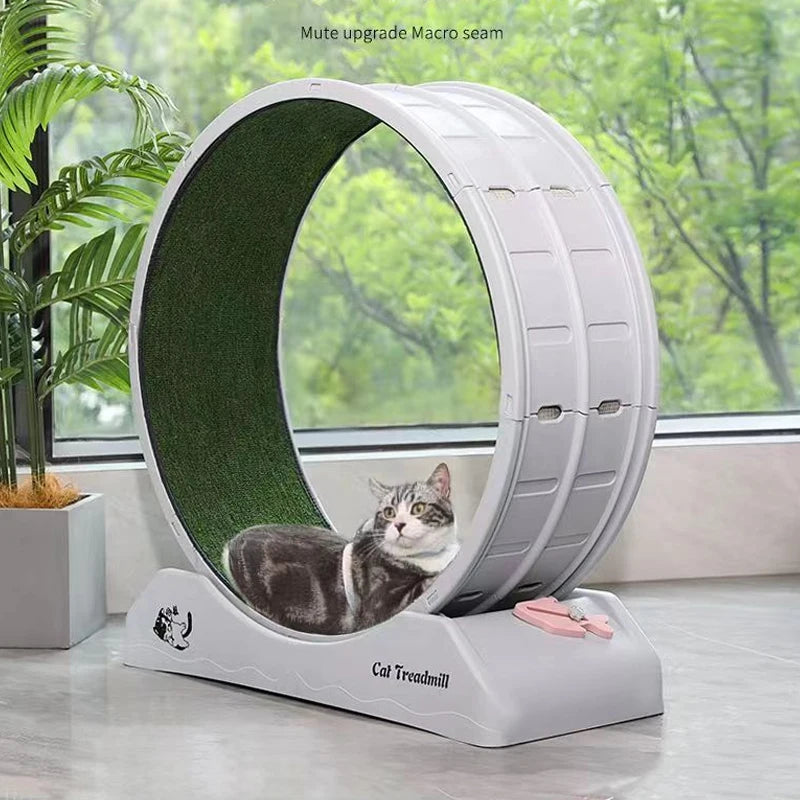 Silent Cat Exercise Wheel – Wear-Resistant Fitness Treadmill
