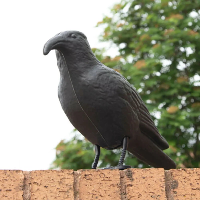 Realistic Crow Decoy Bird Scarer – Garden Pigeon Deterrent