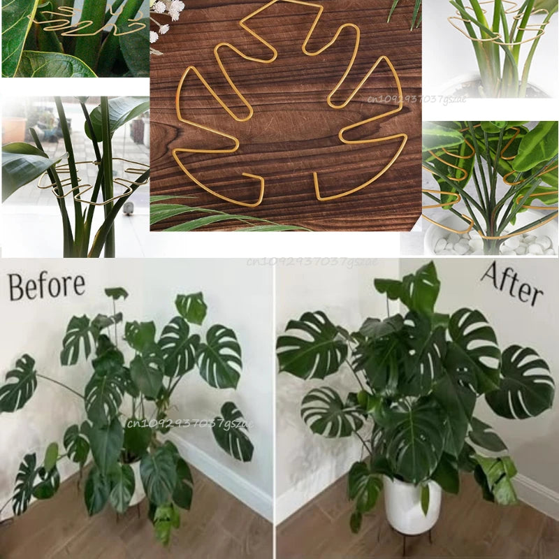 Plant Support Adjustable Metal Plant Support Climbing Stem Holder Monstera Stabilizergardening Tools and Planting Supplies Zpaxo