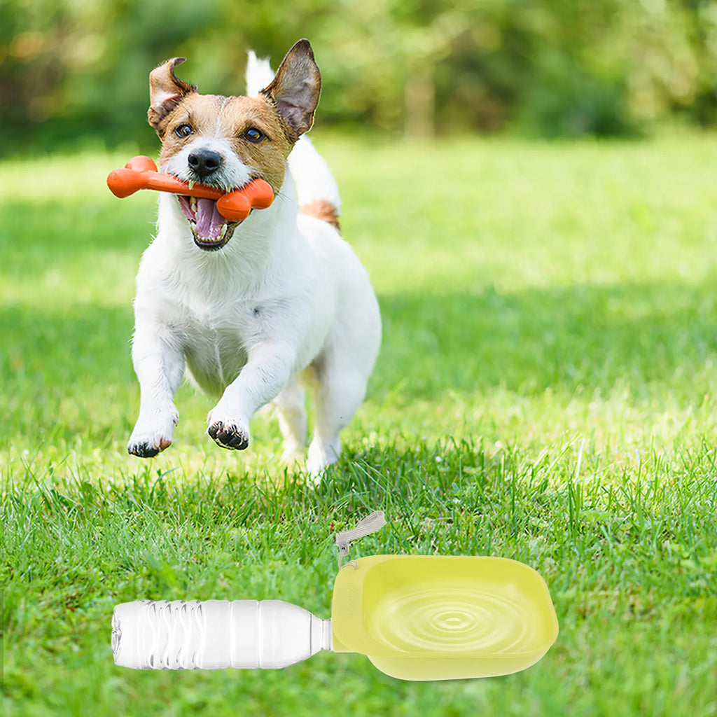 Pet Water Bowl Outdoor Portable ABS Material Easy Clean Dog Bottle