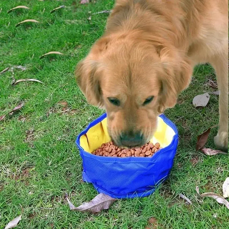 Big Volume Dog Drinking Container Foldable Water Bowl Food Storage