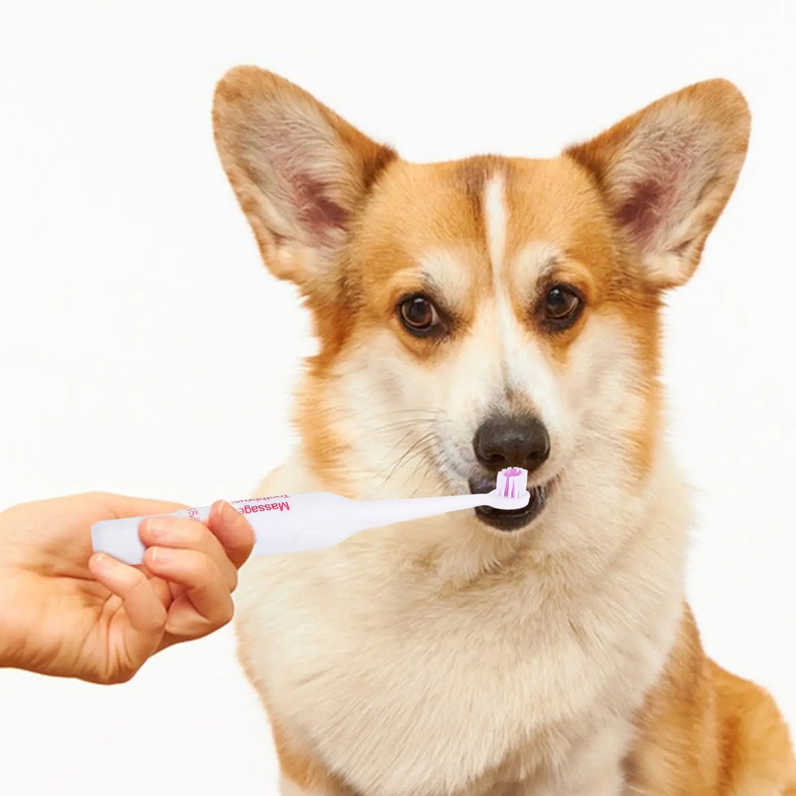 Electric Toothbrush Pets Lightweight Portable Waterproof Electrical