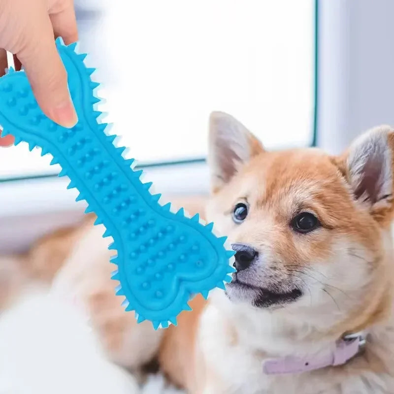 1PC Pet Chew Toy Soft Rubber Bite-resistance Bone Shape Teeth Grinding Chewing Toys for Small Dogs Training Pet Supplies Zpaxo