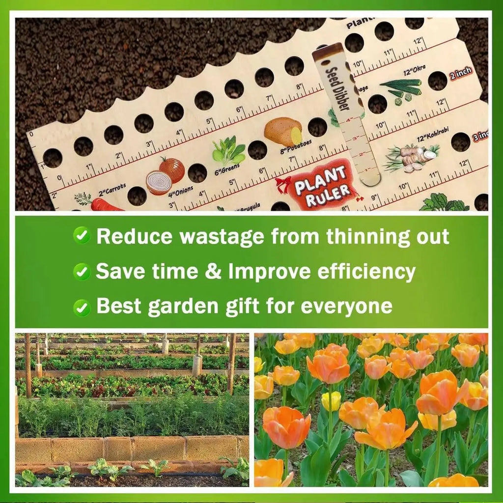 Wooden Plant Ruler Seedling Spacing Tool Gardening Measuring Gauge