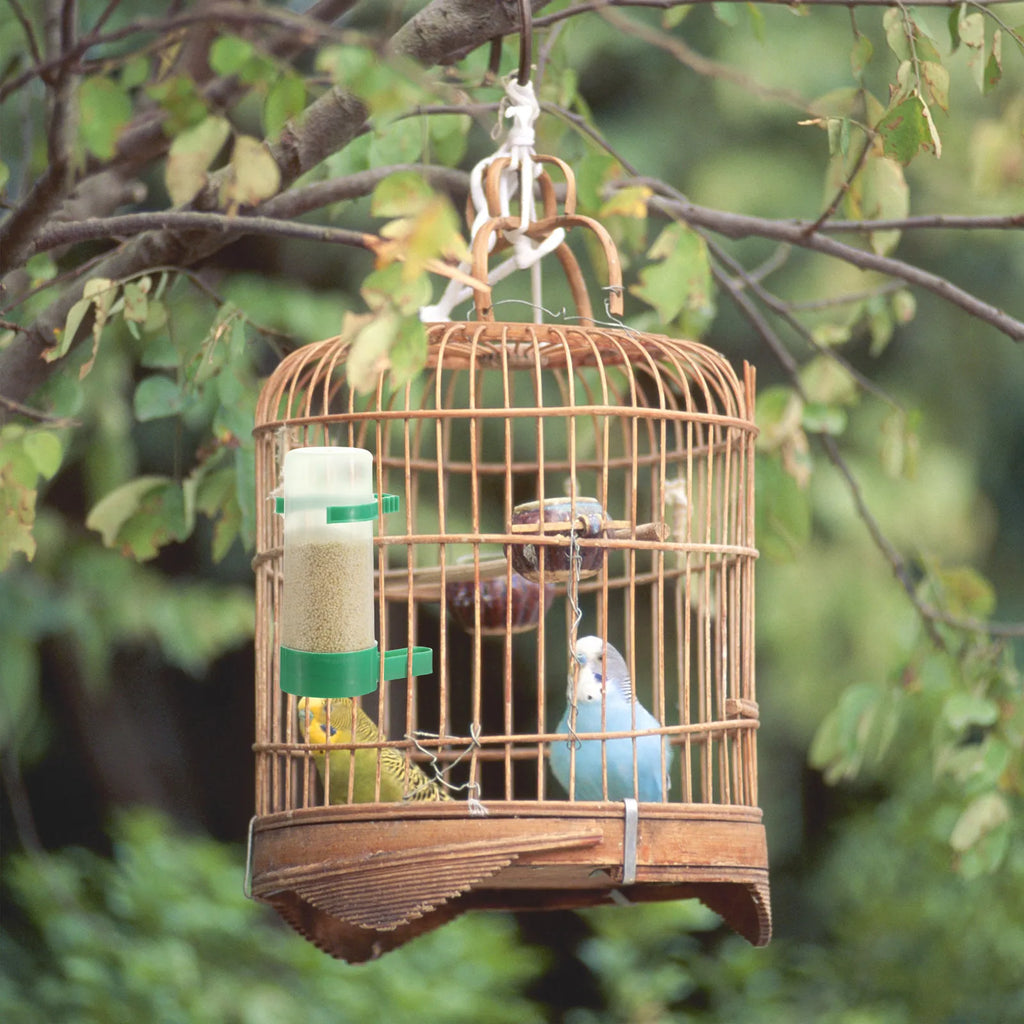 Bird Feeder Automatic Drinker Waterer Plastic Clip Cage Mount