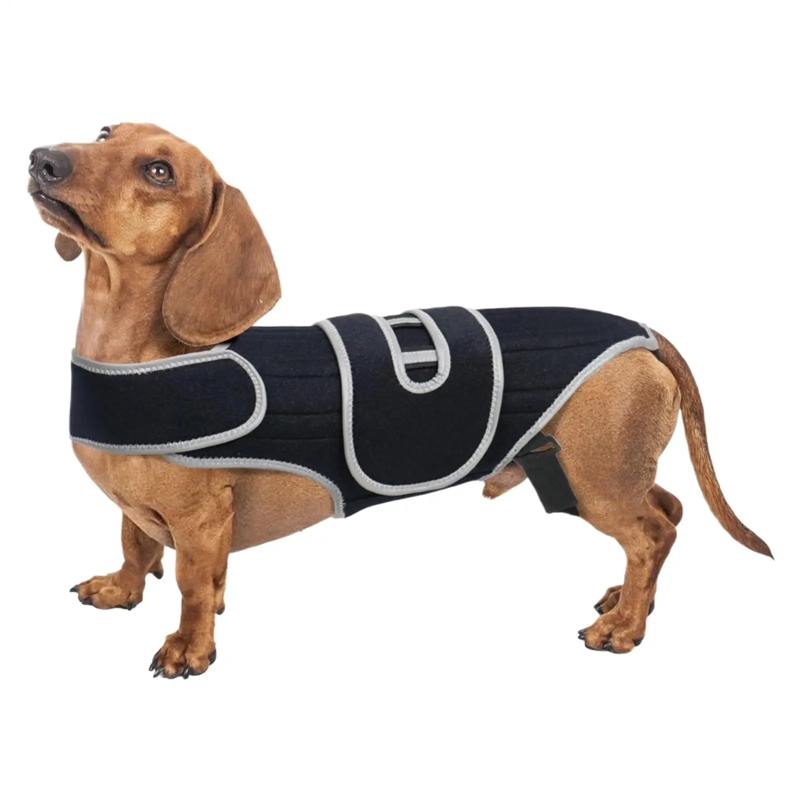 Dog Back Brace Adjustable Spinal Stability Vest Small Support Harness For Stair Step Walking Jogging Home Outdoor Travel Zpaxo
