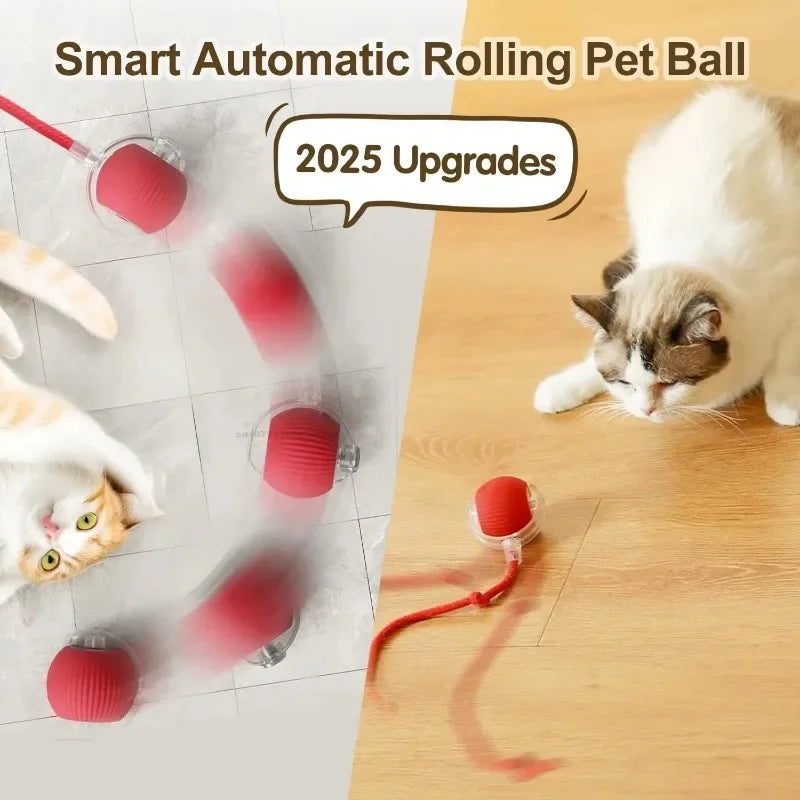 Interactive Cat Toys Automatic Rolling Ball Fake Tail Rechargeable Electric Pet Interactive Toy Dog Training Imitate Mouse Tail Zpaxo