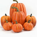7-Piece Artificial White Yellow Pumpkin Fall Halloween Home Decor