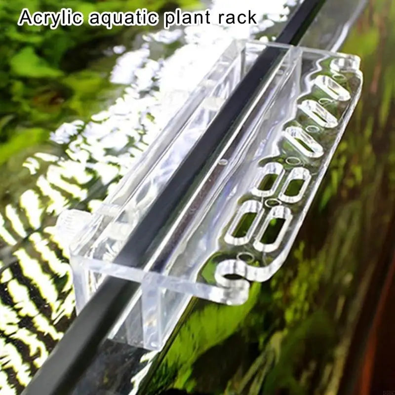 Acrylic Water Grass Tool Rack Scissors Tweezers Cleaners Organized