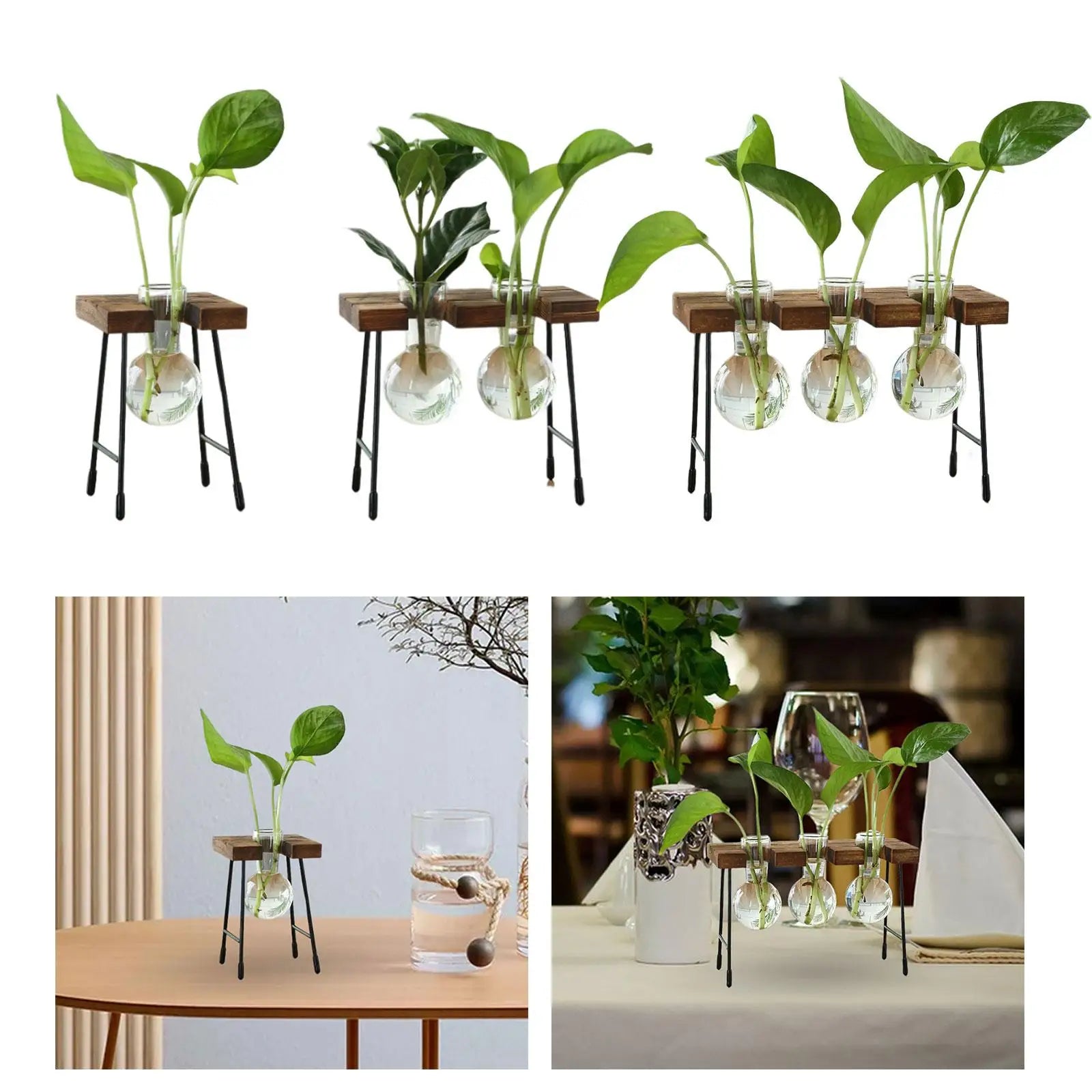 Hydroponic Glass Bud Vase with Wooden Stand | Tabletop Planter Glass Bud Vase Zpaxo