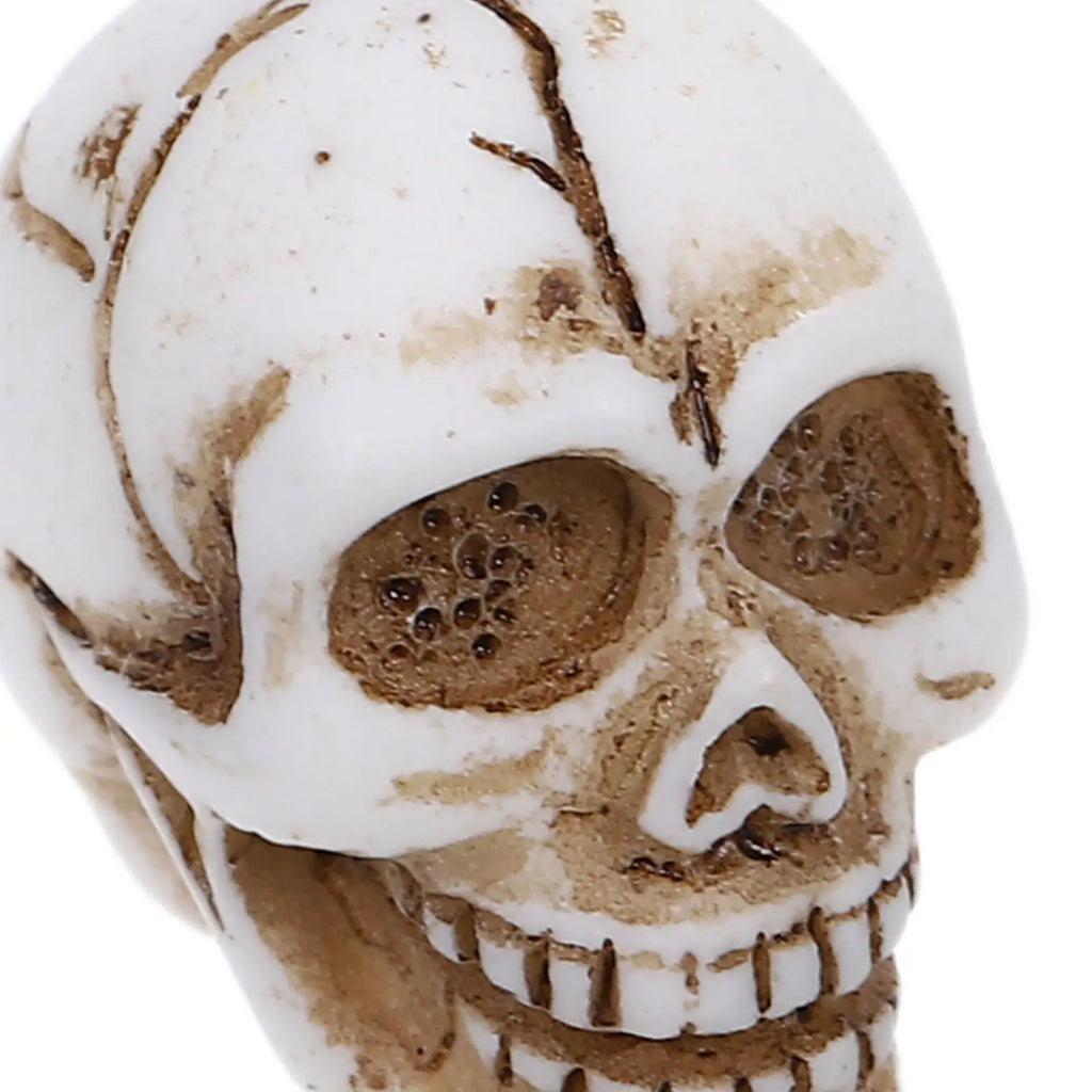 Tiny Resin Skull Figurines Halloween Party Supplies Spooky