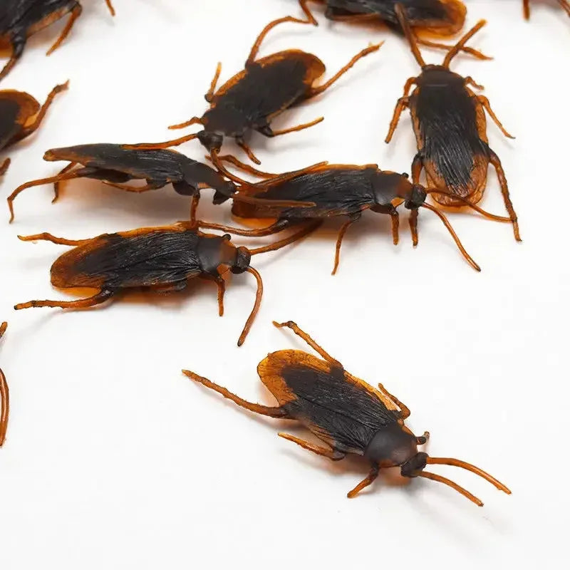 Realistic Cockroach Model Novelty Prop Toy Pranking April Fools' Day