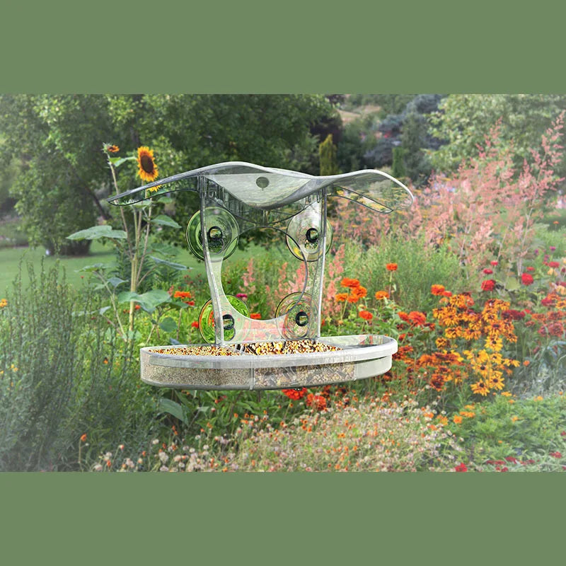 Window Bird Feeders Strong Suction Cups Outdoors Cup Feeder Wild