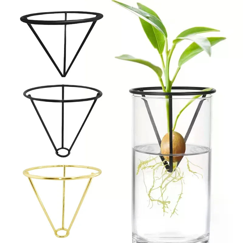 1/2/4pcs Avocado Seed Starter Vase Holders Avocado Seed Growing Triangle Metal Stand Carrots, Sweet Potatoes Growing Stand Zpaxo