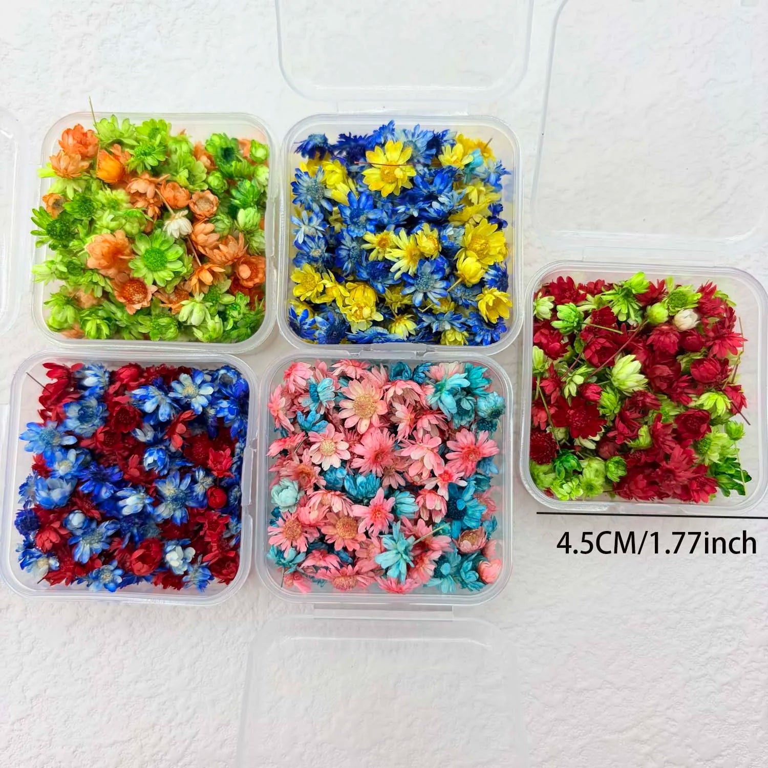 1BOX DIY Flowers Handmade Craft For Nail Art Resin Mold Fillings Candle making Jewelry Resin Phone Case Craft Decoration Zpaxo